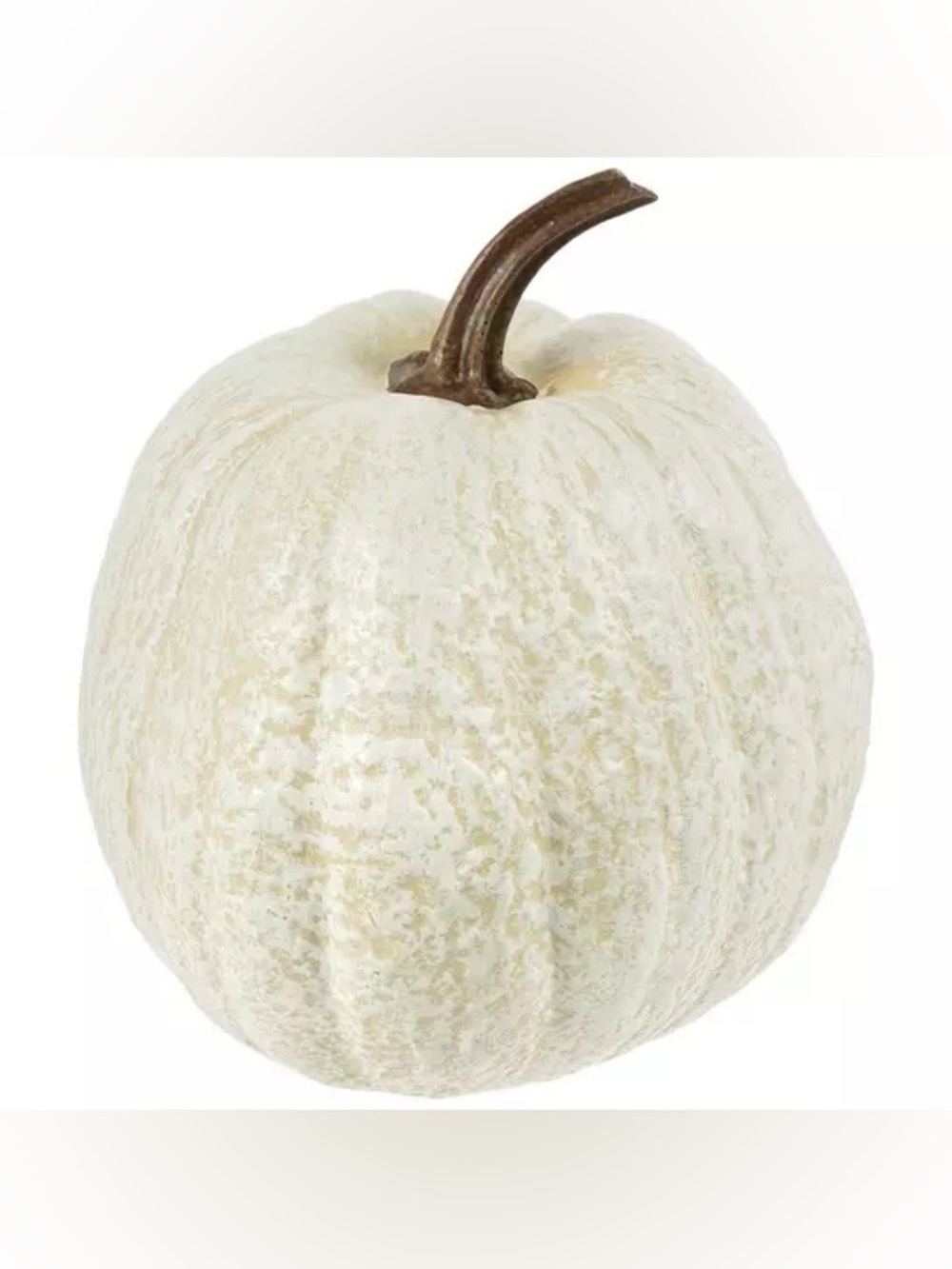 Textured  Pumpkin